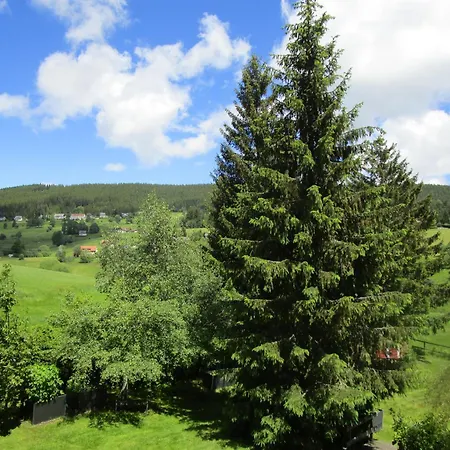 Lejlighed Haus Rehblick Saig *